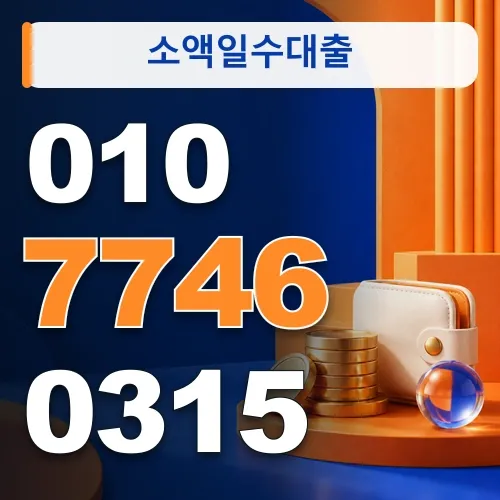 소액일수대출 · 010-7746-0315